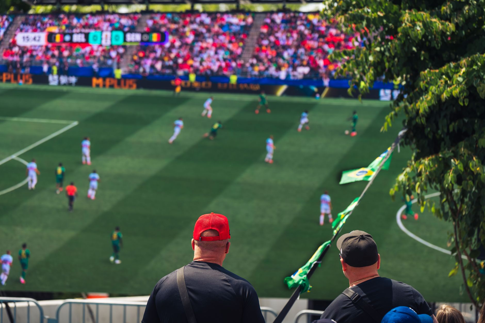 Historia na żywo! Norwegia robi furorę na mundialu, Polsce pozostaje kibicowanie na kanapie